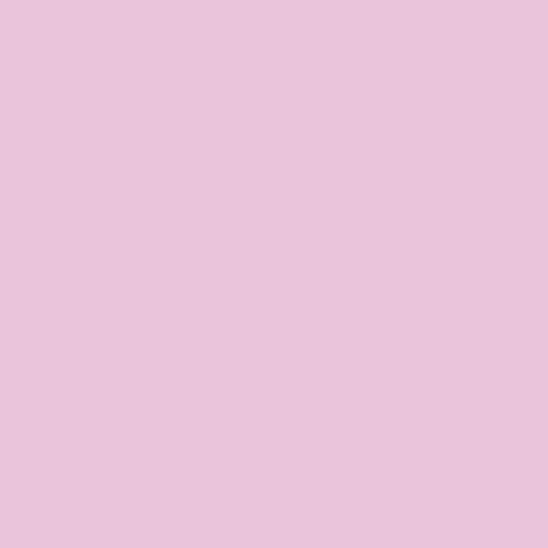 Hammermill Fore Lilac 20#