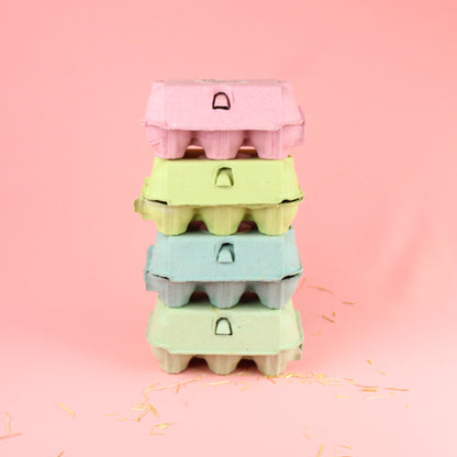 What Came First? Gift Set