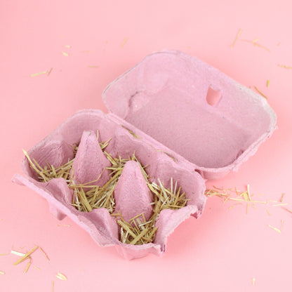 What Came First? Gift Set