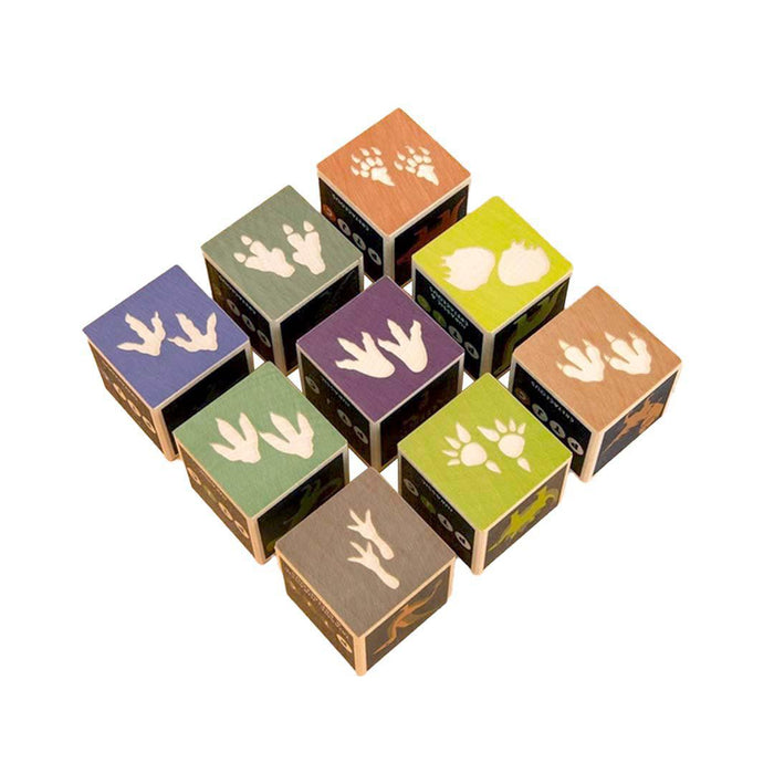 Blocks - Dinosaurs (Set of 9) by Uncle Goose