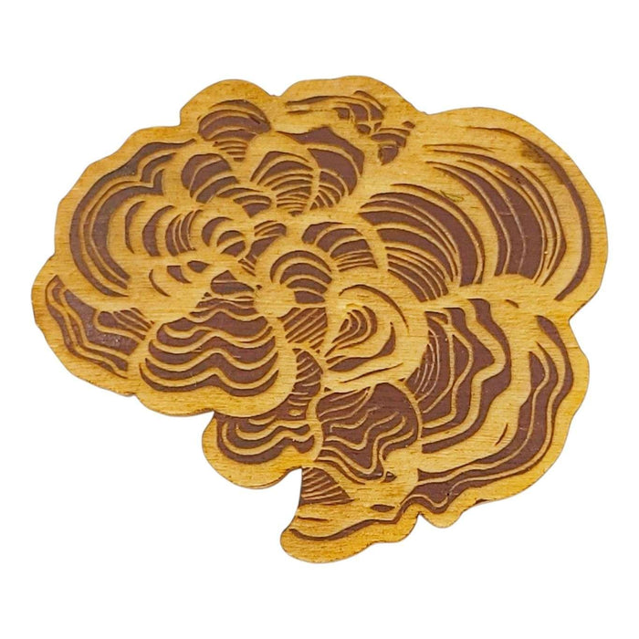 Wooden Magnets - Set of 5 - Mushrooms (Series 2) by SnowMade