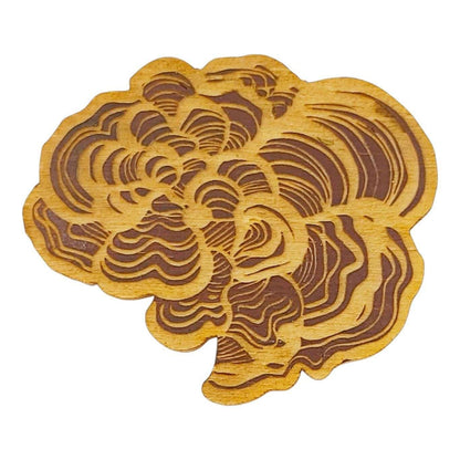 Wooden Magnets - Set of 5 - Mushrooms (Series 2) by SnowMade
